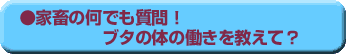 家畜の何でも質問!ブタの体の働きを教えて?