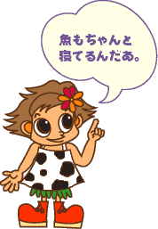 魚もちゃんと寝てるんだあ。
