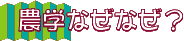 _wȂȂH