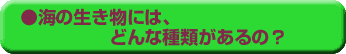 海の生きものにはどんな種類があるの?